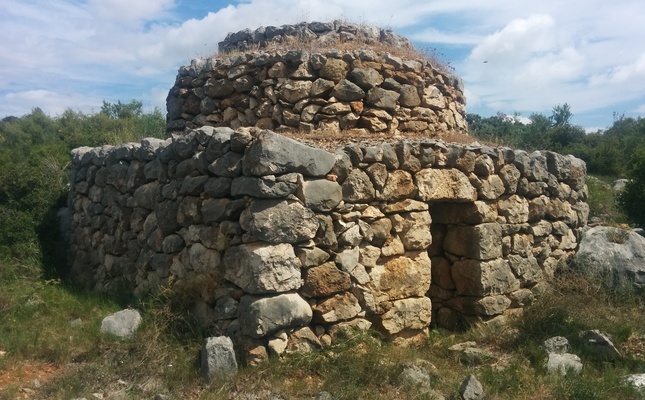 Barraca de pedra seca amb el codi 14849 de la Wikipedraseca Barraca de pedra seca amb el codi 14849 de la Wikipedraseca