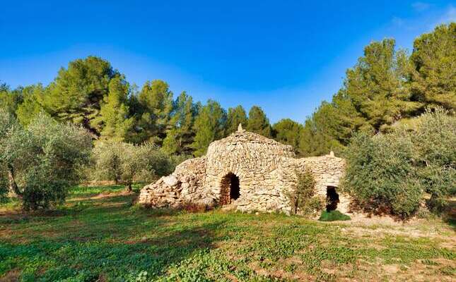 La Barraca de les Oliveres La Barraca de les Oliveres
