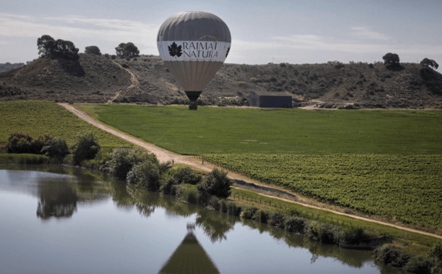 Un globus aerostàtic de Raimat Natura sobrevolant les vinyes de la finca