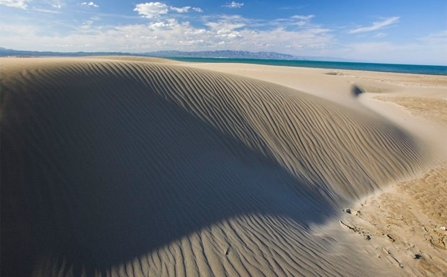 Les dunes naturals de la platja de la Marquesa Les dunes naturals de la platja de la Marquesa