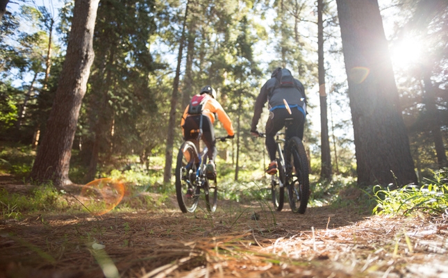 Les vies verdes: recorreguts ideals per a fer rutes en bicicleta Les vies verdes: recorreguts ideals per a fer rutes en bicicleta