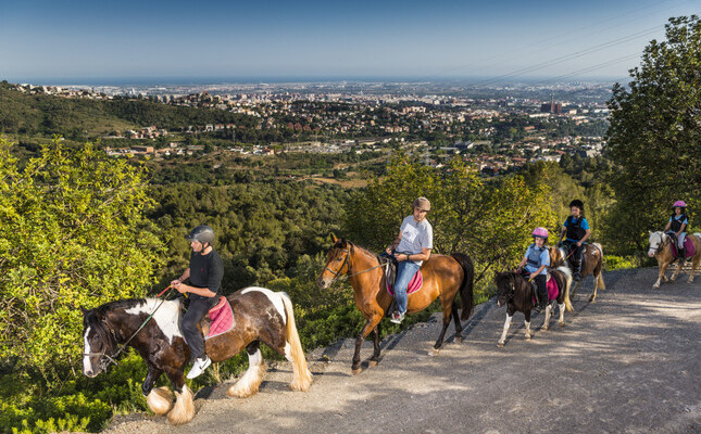 Rutes a cavall per conèixer la natura del Baix Llobregat amb família - Rutes a cavall per conèixer la natura del Baix Llobregat amb família -
