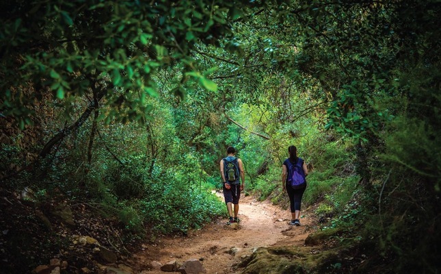 Parella passejant per una ruta envoltada de vegetació a Mont-roig del Camp Parella passejant per una ruta envoltada de vegetació a Mont-roig del Camp