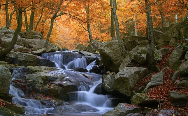 El massís del Montseny és un indret amb una gran quantitat d’aigua El massís del Montseny és un indret amb una gran quantitat d’aigua