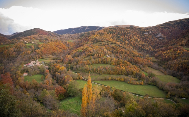 L'espectacle dels boscos de tardor del Ripollès des de Pardines