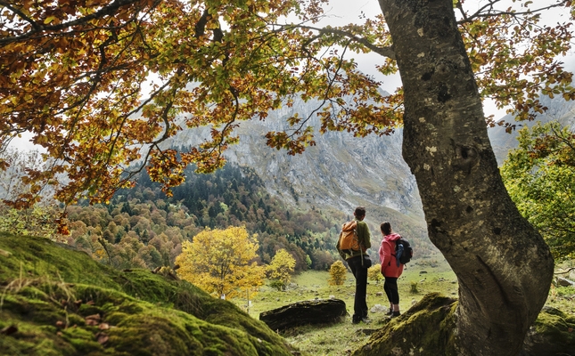 Les tonalitats de tardor conviden a passejar per espais com els d'Artiga de Lin Les tonalitats de tardor conviden a passejar per espais com els d'Artiga de Lin