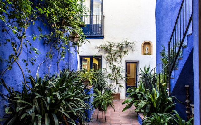 Blau intens al pati del carrer Àngel Vidal Blau intens al pati del carrer Àngel Vidal