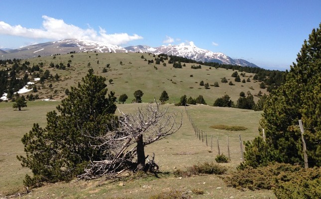 Vistes a la vall de Ribes
