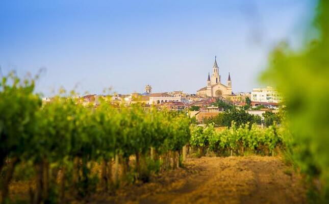 Les vinyes són un dels principals atributs de la capital del Penedès Les vinyes són un dels principals atributs de la capital del Penedès