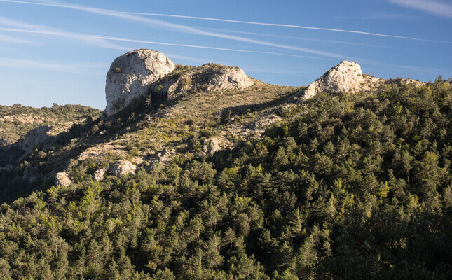 Les muntanyes de Prades son la zona boscosa continua més gran de la Catalunya mediterrània