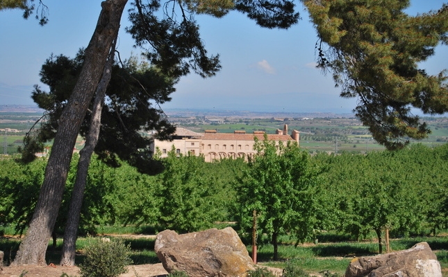 Masia i finques del Mas de Colom situat a Tàrrega