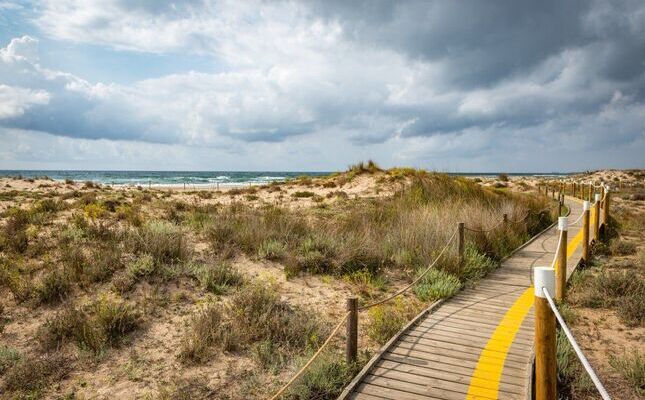 Dunes i canyissars als Muntanyans Dunes i canyissars als Muntanyans