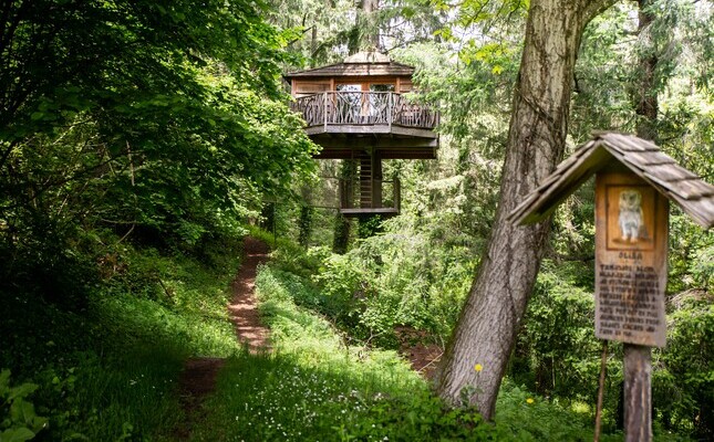 La cabana Òliba, una de les cabanes als arbres de Sant Hilari Sacalm