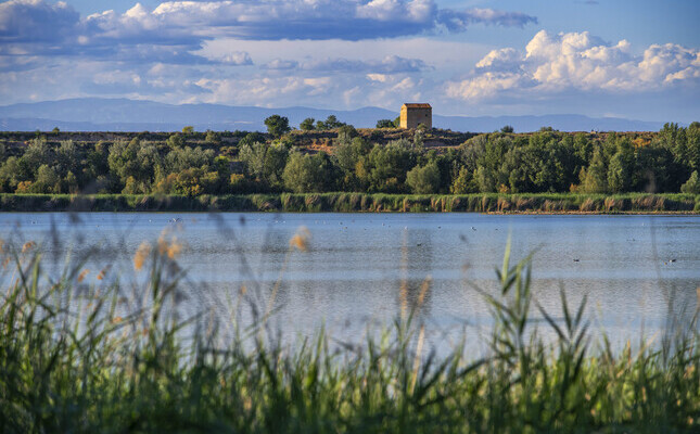 Estany d’Ivars i Vila-sana, espai on es durà a terme el III Fòrum d’Ecoturisme, Natura i Sostenibilitat