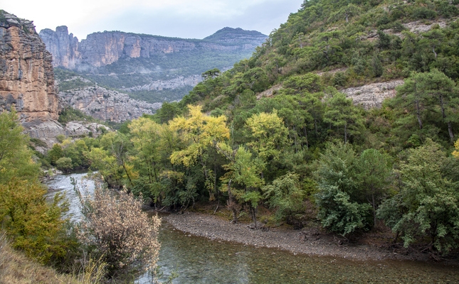 El riu Garona al seu pas per la Val d'Aran