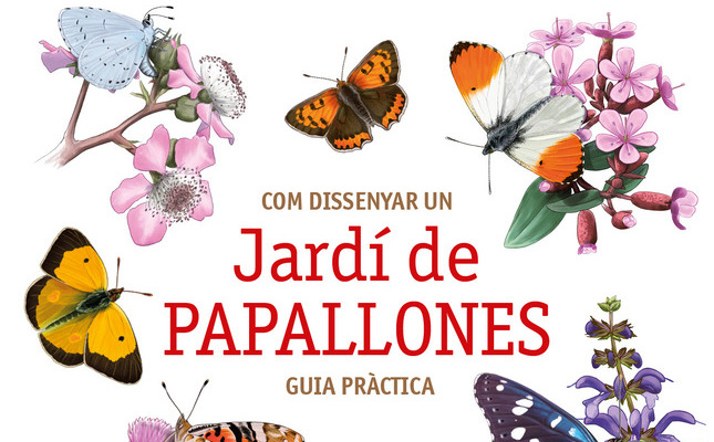 jardi papallones