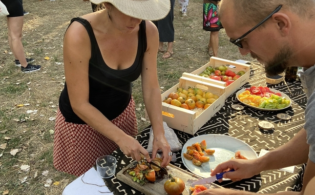 Tallant tomàquets a la Fira de la Tomaca del Priorat