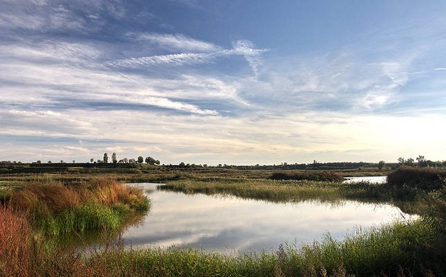 L'estany d'Ivars i Vila-sana convida a passejar durant la tardor L'estany d'Ivars i Vila-sana convida a passejar durant la tardor