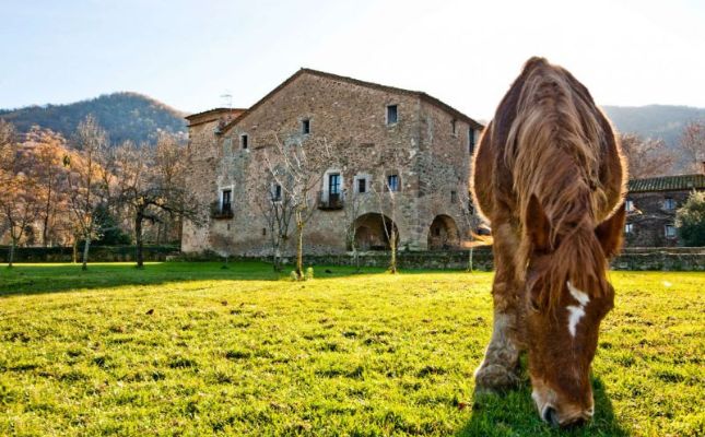 Masia a la vall de Bianya Masia a la vall de Bianya