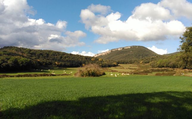 Paisatge al cràter del volcà de la Banya del Boc Paisatge al cràter del volcà de la Banya del Boc
