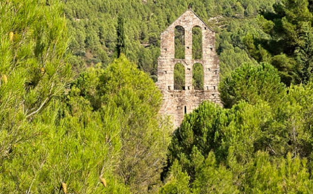 Passejada guiada a Vallhonesta