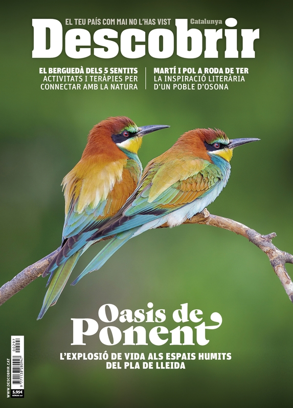 Portada Oasis de Ponent - Descobrir 297 Portada Oasis de Ponent - Descobrir 297