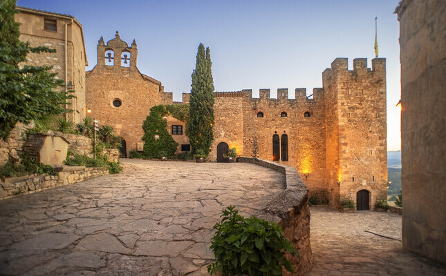 El castell de Montsonís és una impressionant fortalesa que es troba a la part alta del nucli de Montsonís, al municipi de la Foradada