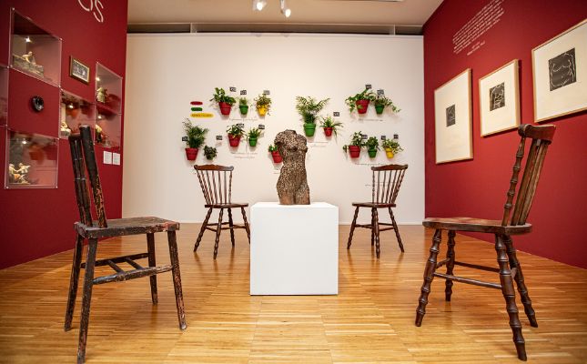 Àmbit cos de l'exposició 'Tros de dona'
