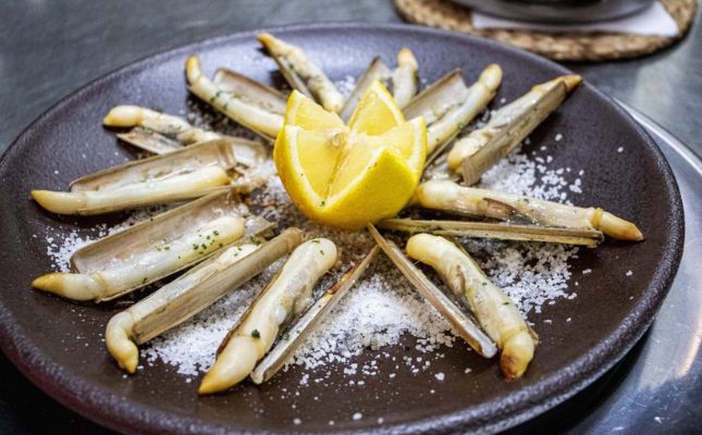 Els canyuts són un marisc molt similar a les navalles típic del Delta de l'Ebre 