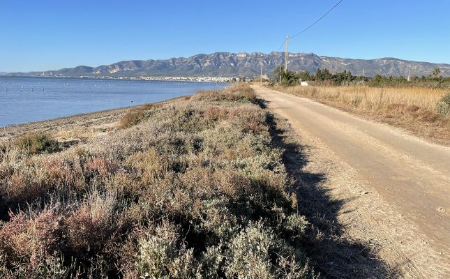 Zona de la badia dels Alfacs on tindran lloc les obres