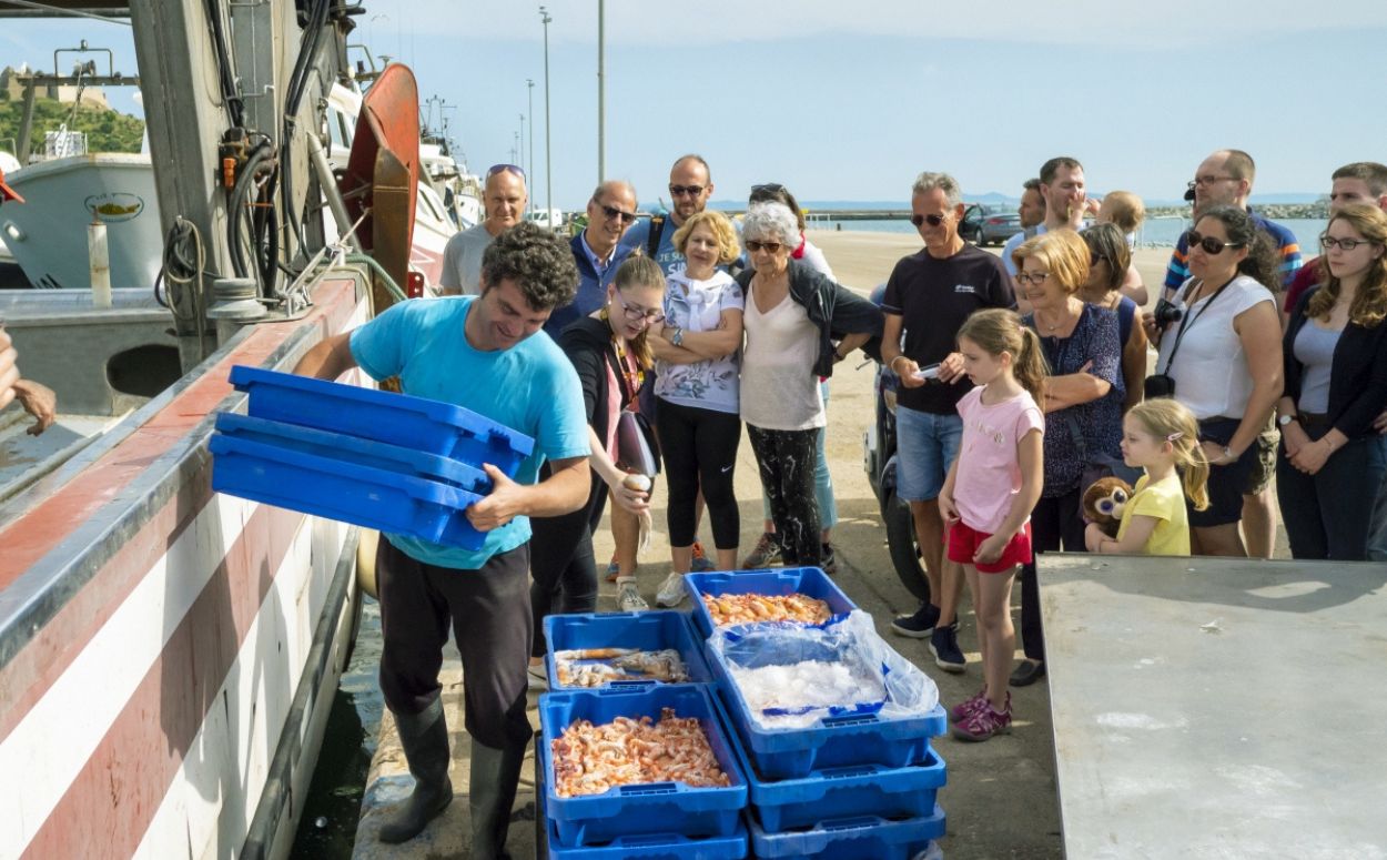 Visita al port pesquer de Roses