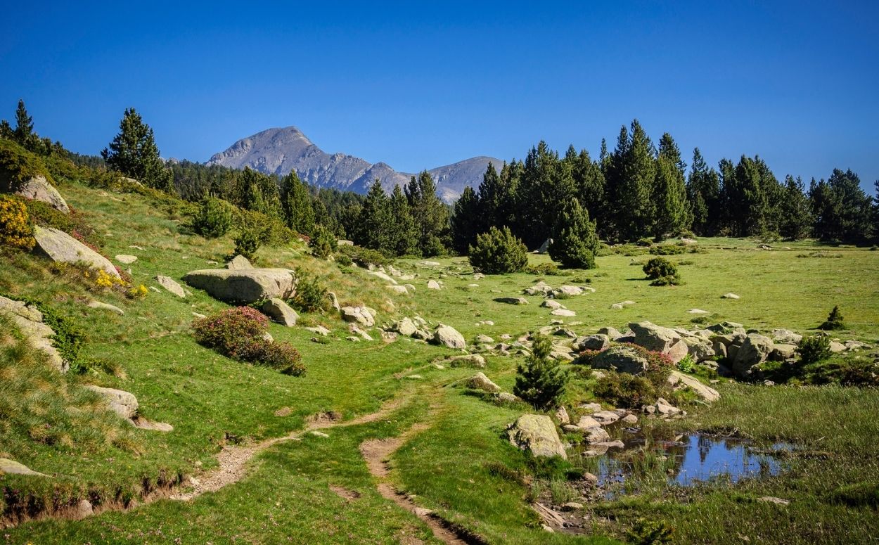 Paisatge de la zona dels estanys de les Bulloses Paisatge de la zona dels estanys de les Bulloses