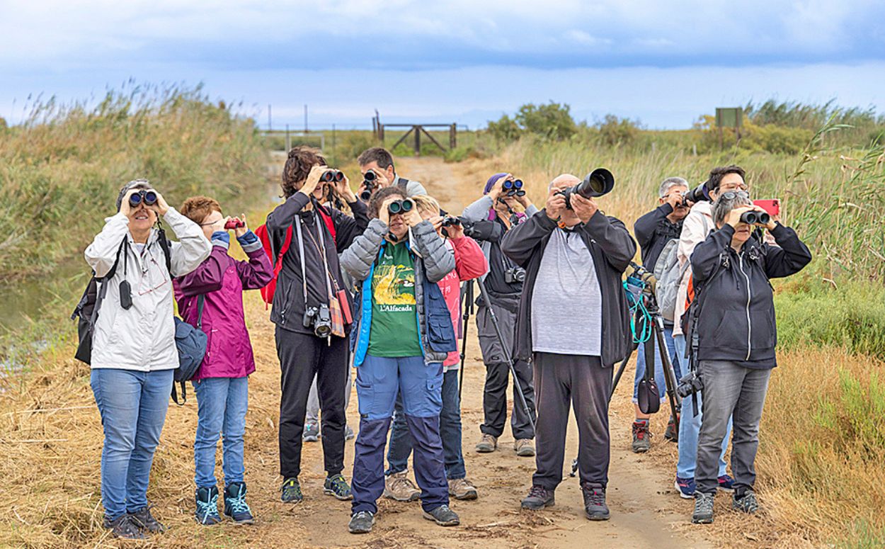 Amants de l'ornitologia fotografien els ocells al DBF