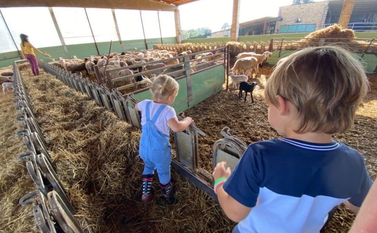 Nens visiten una granja de vaques