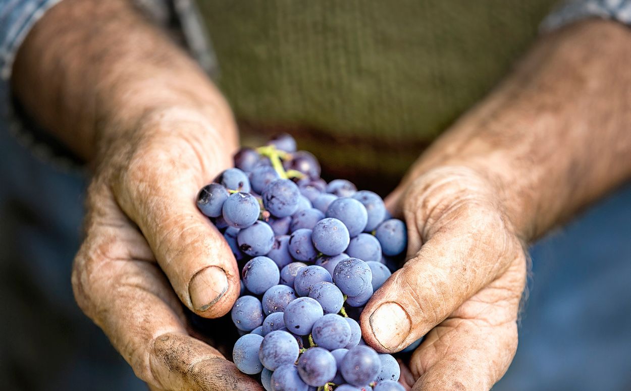 La Conca, un territori amb un producte exquisit