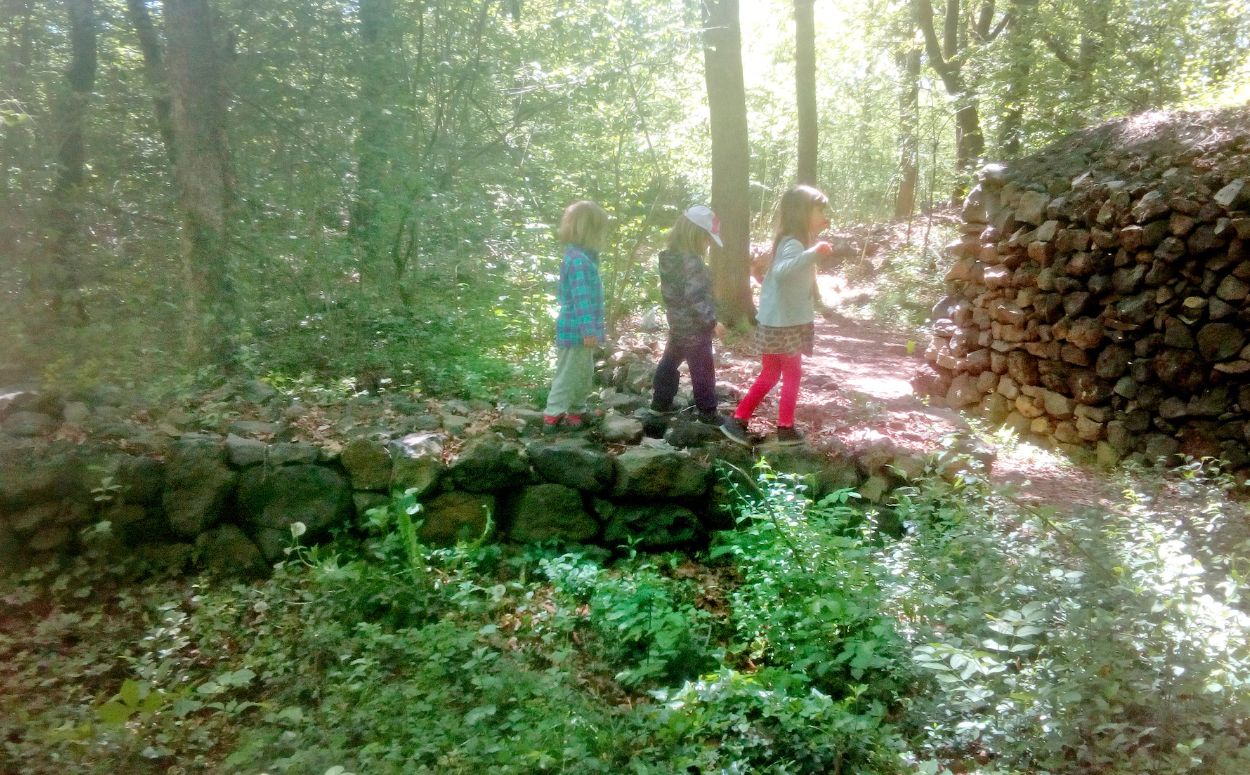 Els banys de bosc de Sèlvans tenen una durada de dues hores Els banys de bosc de Sèlvans tenen una durada de dues hores