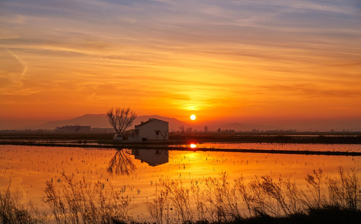 Una barraca al mig del delta de l'Ebre