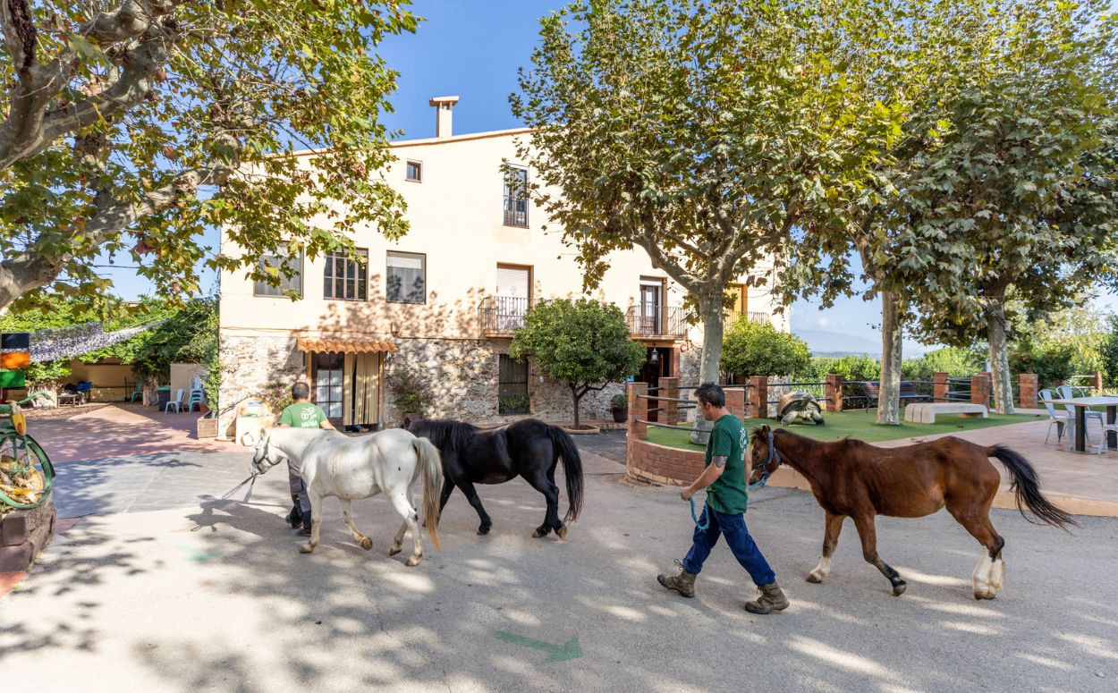 Visita a la granja Can Sala, a Montornès del Vallès, una de les propostes de la Ruta 1 de la guia
