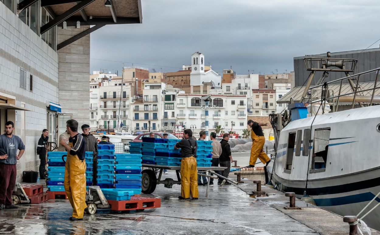 El port pesquer de l'Ametlla de Mar es manté actiu i proporciona peix de quilòmetre zero als restaurants del poble. El port pesquer de l'Ametlla de Mar es manté actiu i proporciona peix de quilòmetre zero als restaurants del poble.