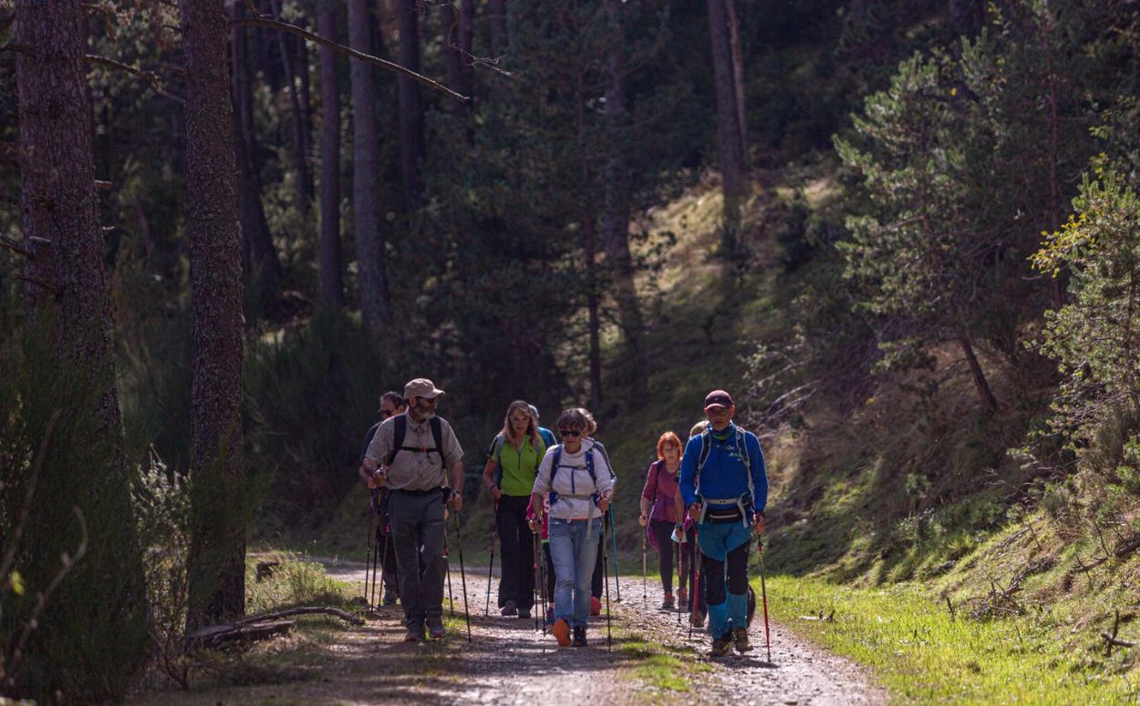 Ruta senderista del Ripollès Ruta senderista del Ripollès