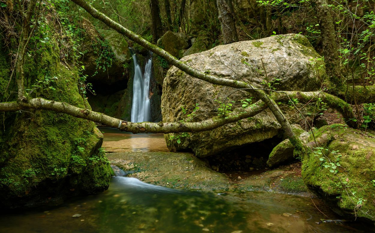 Gorg de la Sort a Aiguafreda