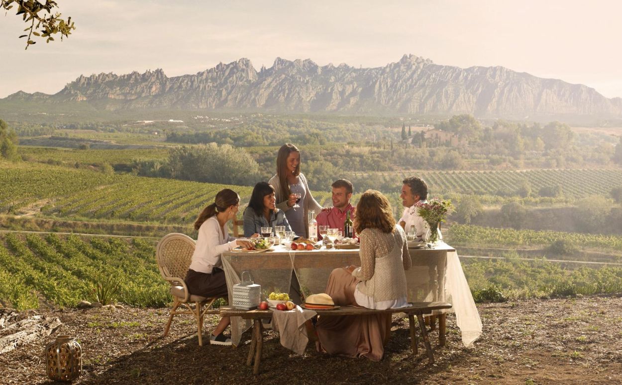 Àpat entre vinyes al Penedès Àpat entre vinyes al Penedès