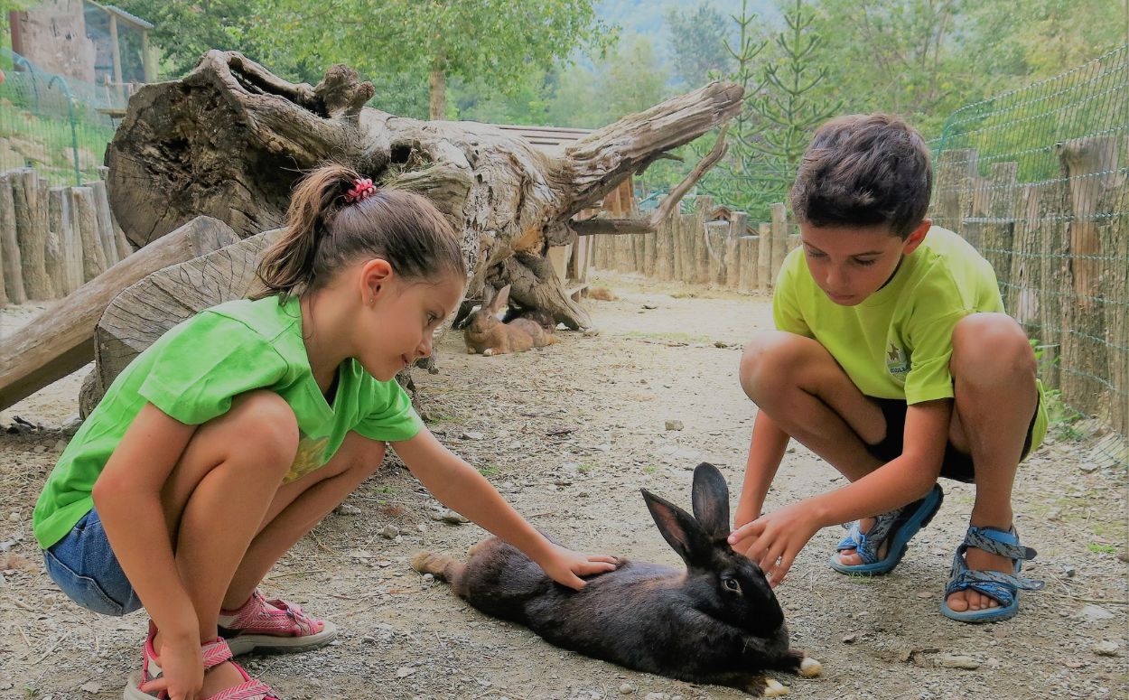 Un nen i una nena acariciant un conill al Molló Parc
Un nen i una nena acariciant un conill al Molló Parc