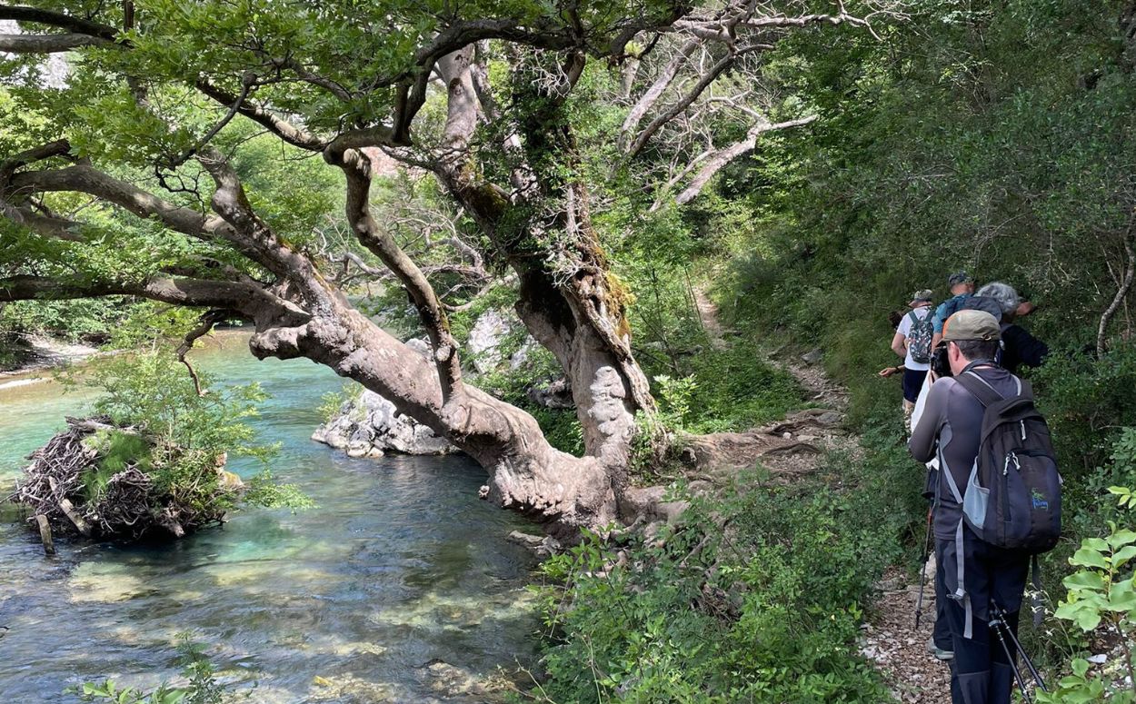 Excursió a la vora del riu Voidomatis Excursió a la vora del riu Voidomatis