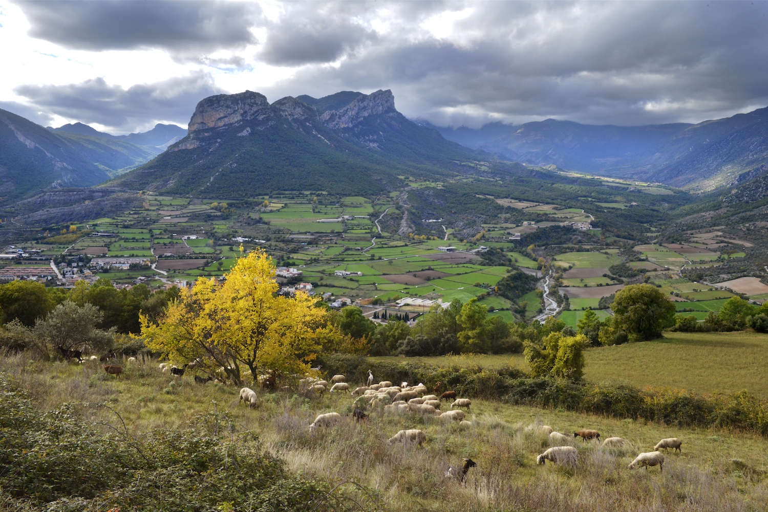 Organyà és un dels pobles protagonistes de l'agenda d'aquesta setmana