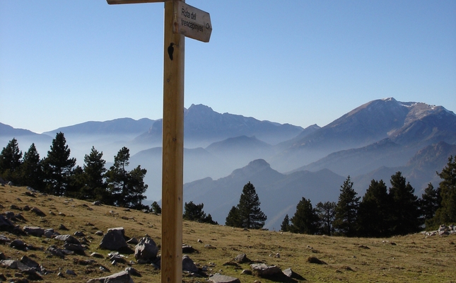 La ruta del Trencapinyes de 2,5 km té com a principal objectiu descobrir la fauna d'aquest racó del Berguedà La ruta del Trencapinyes de 2,5 km té com a principal objectiu descobrir la fauna d'aquest racó del Berguedà