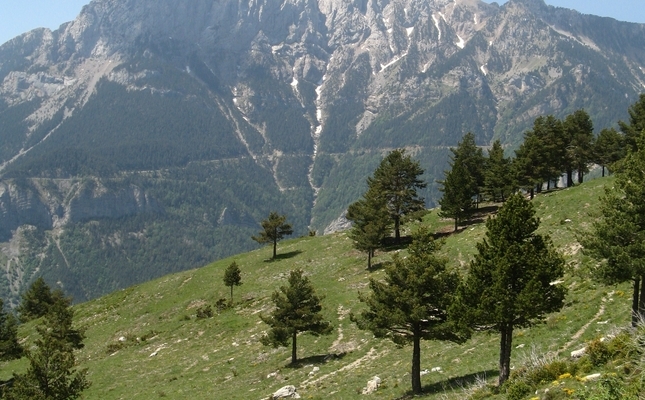 Segona etapa de l'itinerari que discorre entre el Santuari de Queralt i Bellver de la Cerdanya amb el catarisme, fenomen religiós del segle XII i XIII com a a element central.