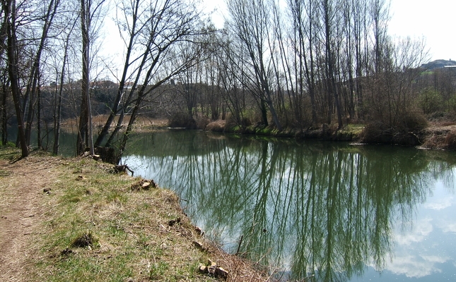 Camí Vora el Ter: de Manlleu a Sau - El Camí Vora Ter, que discorre per la comarca d’Osona, forma part del sender de gran recorregut GR 210. L’itinerari travessa antigues colònies tèxtils, boscos de ribera, de muntanya mitjana, poblacions i espais agrícols i industrials, llocs que tenen en comú l’aprofitament ancestral del riu. Aquesta etapa descriu el tram entre Manlleu i l'embassament de Sau, amb un afegit que indica la desviació a Vilanova de Sau