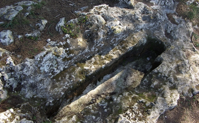 Un itinerari que transcorre entre la plana penedesenca i els darrers contraforts del massís del Garraf fins a escalar el turó d'Olèrdola