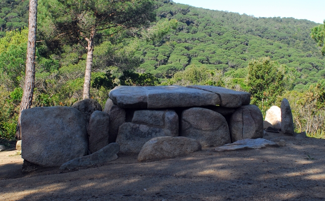 Un viatge en el temps entre boscos i camps de pastura fins al moment en què l'home va posar el peu per primera vegada al que ara és el Parc del Montnegre i el Corredor
